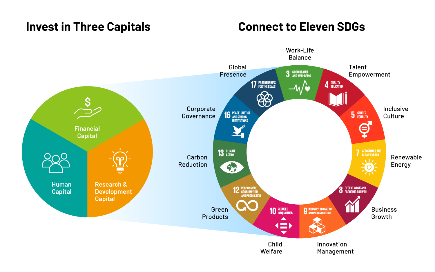 Corporate Governance for Sustainability