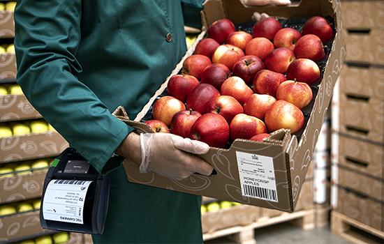 Mobile Labels & Print Media