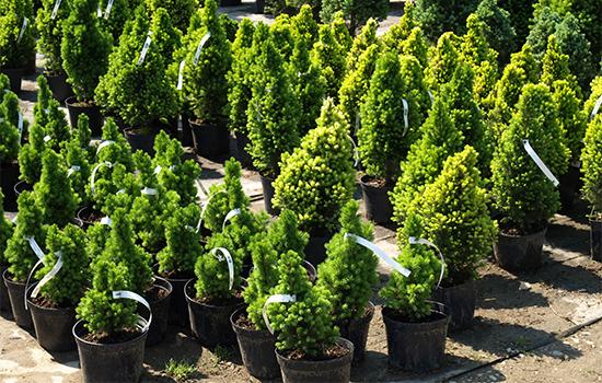 Wrap Around Plant Tags