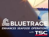 Fallstudie: BlueTrace verbessert die Abläufe in der Fischindustrie mit TSC Auto ID